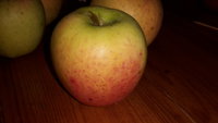 20160927_215228.jpg