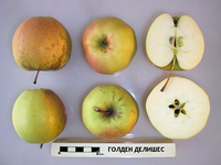 i0497.png