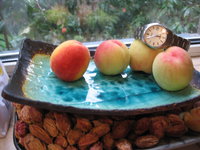 IMG_1855.JPG