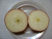 Ред Мельба 1.jpg