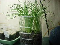 DSCN7902.JPG