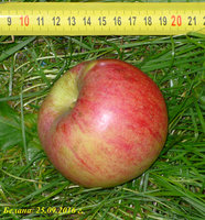 P1080266-2.jpg