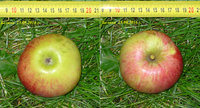 P10802_64-2_65-2.jpg