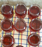 IMG_20161003_182939.jpg