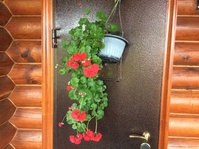 IMG_1559.JPG