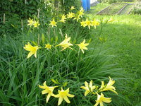 DSC08762.JPG
