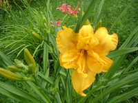 DSC09473.JPG