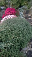 WP_20161001_009.jpg