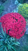 WP_20161001_002.jpg