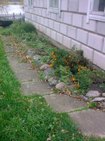 Фото001.jpg