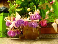 IMG_1600.JPG