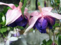 IMG_1597.JPG