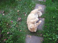 IMG_1517.JPG