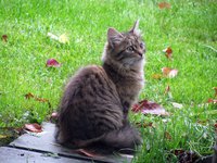 IMG_1568.JPG