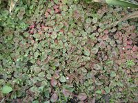 20160917_130836.jpg