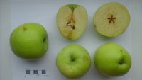 20161011_131800.jpg