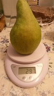 20160928_051531.jpg
