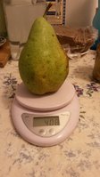 20160928_051413.jpg