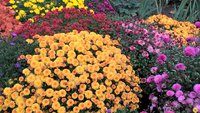 WP_20161017_15_58_54_Pro.jpg