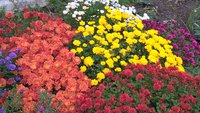 WP_20161017_15_59_06_Pro.jpg