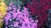 WP_20161017_15_59_27_Pro.jpg