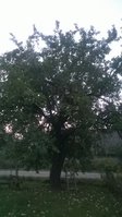 WP_20161002_003.jpg