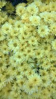 WP_20161018_012.jpg
