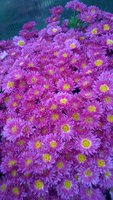WP_20161018_015.jpg