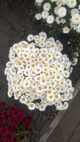 WP_20161018_008.jpg