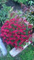 WP_20161018_004.jpg