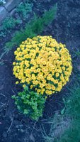 WP_20161018_005.jpg