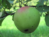 IMG_8107.JPG