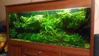 P_20161019_214802.jpg