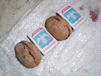 SL735420.JPG