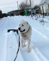 моя  девочка