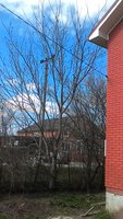 P_20160320_123122.jpg
