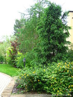 5n23i4-87x.jpg