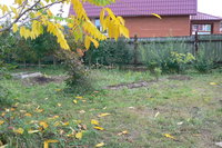 P1130998.JPG