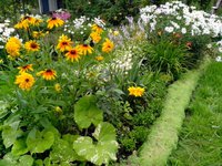 IMG_20160721_165952.jpg