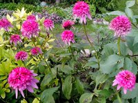 IMG_20160812_163130.jpg