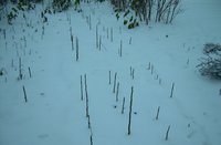 DSCN1373.JPG