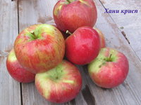Хани крисп 24-09.JPG