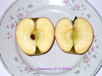 P1080441-2.jpg