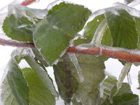 DSCN1799.JPG