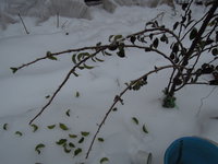 DSCN1803.JPG