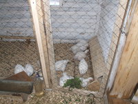 DSCF2082.JPG