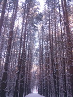 IMG-20161113-WA0001.jpeg