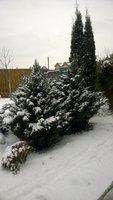 WP_20161115_070.jpg
