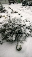 WP_20161115_064.jpg