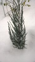 WP_20161115_032.jpg